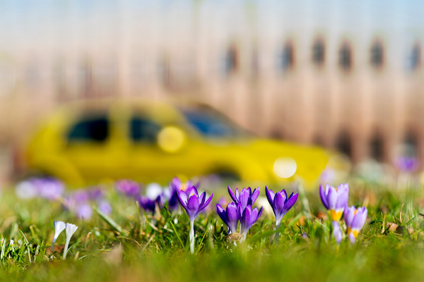 Spring Car Care Tips for Alberta | Mint Auto Service
